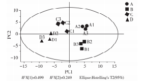 微信圖片_2025-08-22_165147_029